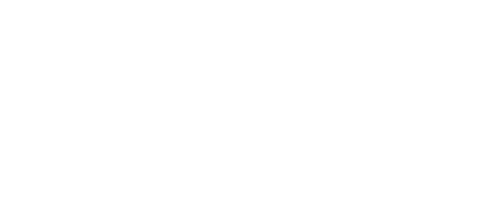 DND white handwritten logo